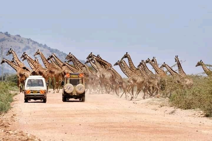 Murchison Falls National Park